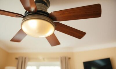 ceiling fan humming explained