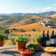 basilicata s flavor in tuscany