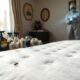 effective bed bug solutions