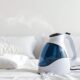 effective bed bug steamers