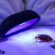 effective uv bed bug solutions