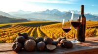 wines truffles alps experience