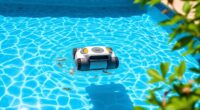 affordable pool cleaner options