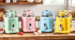 affordable quality ice cream makers
