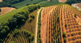 verschiedene Terroirs, äußerst unterschiedliche Weine