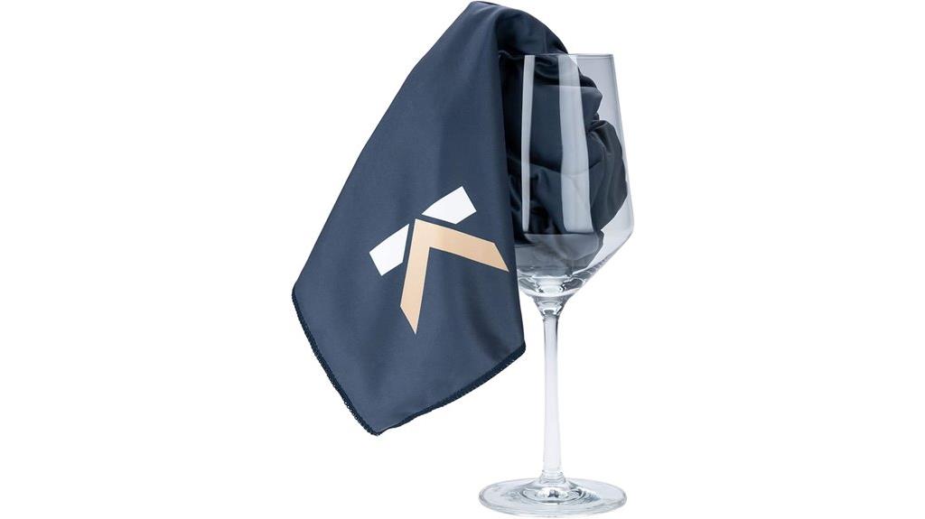 glass and screen polishing cloth