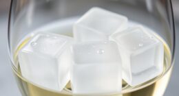 top reusable white wine cubes