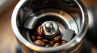 grinder burrs comparison guide