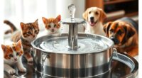 top automatic pet water fountains