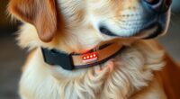top gps dog collars