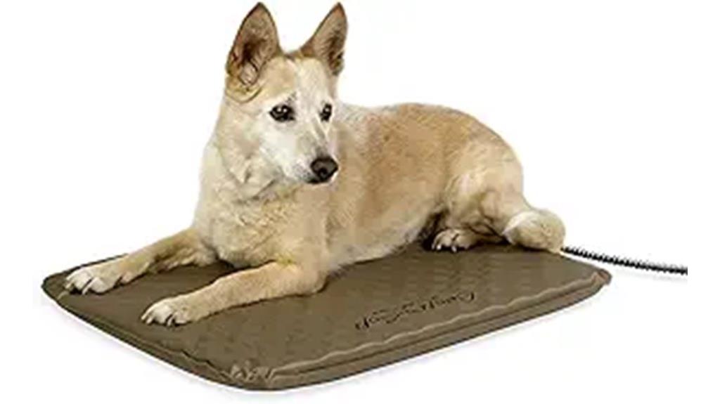 heated medium pet bed