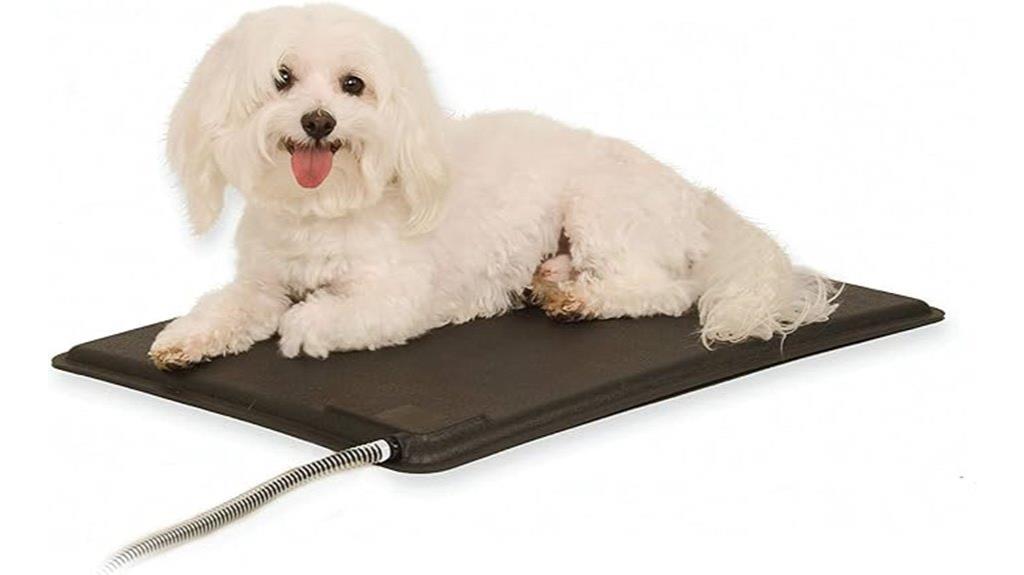 small heated outdoor dog pad