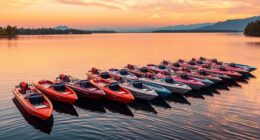 affordable high performance bait boats