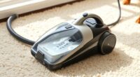 pet friendly portable carpet cleaners
