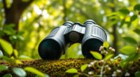 top bird watching binoculars