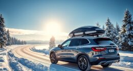 top roof cargo boxes