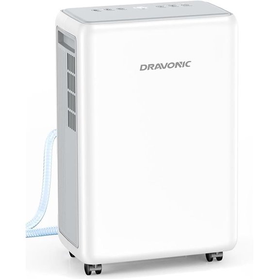 30 Pint Dehumidifier for Basement and Home