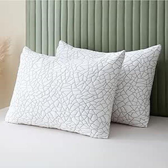 BPC Bamboo Rayon Queen Pillows (Set of 2)