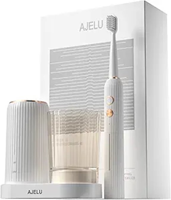 Electric Toothbrush Set with Holder and Replacement Heads