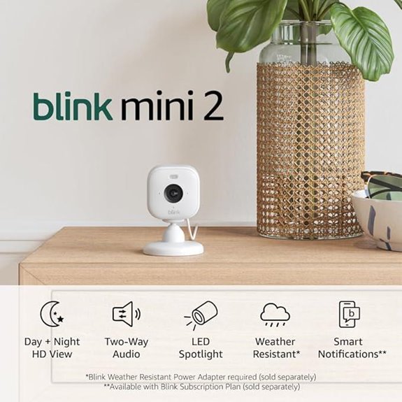 Blink Mini 2 Home Security & Pet Camera