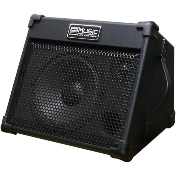 Coolmusic 40W Portable Acoustic Guitar Amplifier with Bluetooth