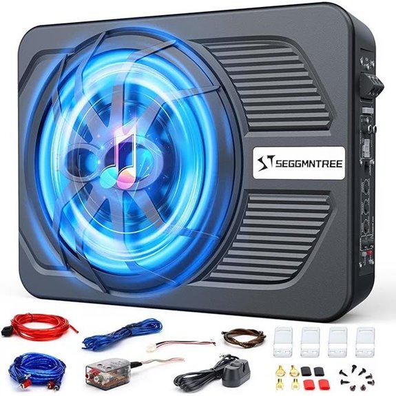 1000W Slim Under-Seat Subwoofer with Amplifier