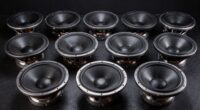 top 12 inch subwoofers list