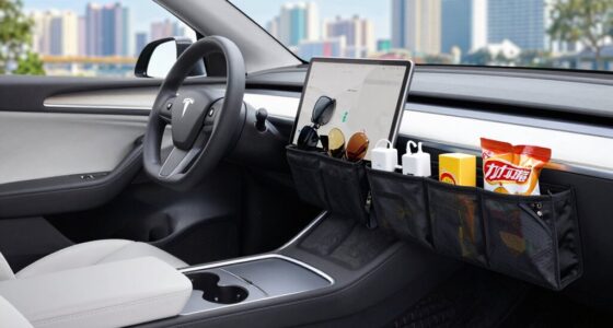 organizers minimize travel clutter