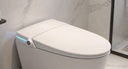 top bidet toilet seat options