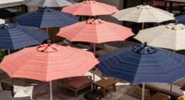 top patio umbrella choices