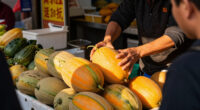 Kashgar Melons Enter Hong Kong Market For First Time-中新网 - Xj.chinanews.com.cn