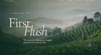 First Flush — Serein Tea Estate — Unified State Interaction (FABLE/175, room 74)