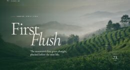 First Flush — Serein Tea Estate — Unified State Interaction (FABLE/175, room 74)