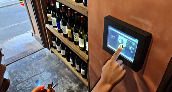 10 Best Wine Security Systems for Retail and Home Cellars in 2027