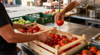 Tomato Use Suspended As Italy Tackles Salmonella Outbreak